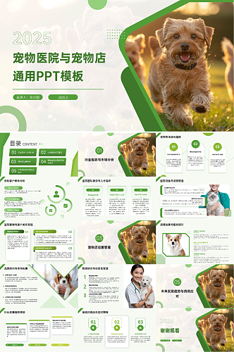宠物医院宠物店猫猫狗狗PPT