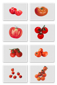 红色西红柿番茄免抠素材