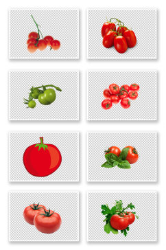 西红柿番茄免抠素材