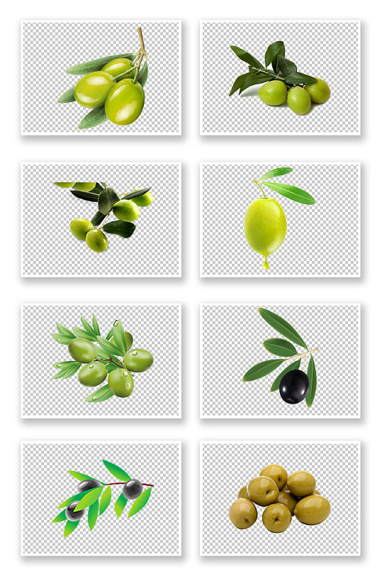 健康绿色橄榄蔬菜素材
