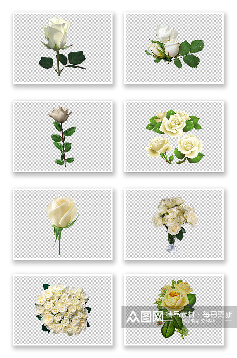 白色花朵鲜花花店素材素材