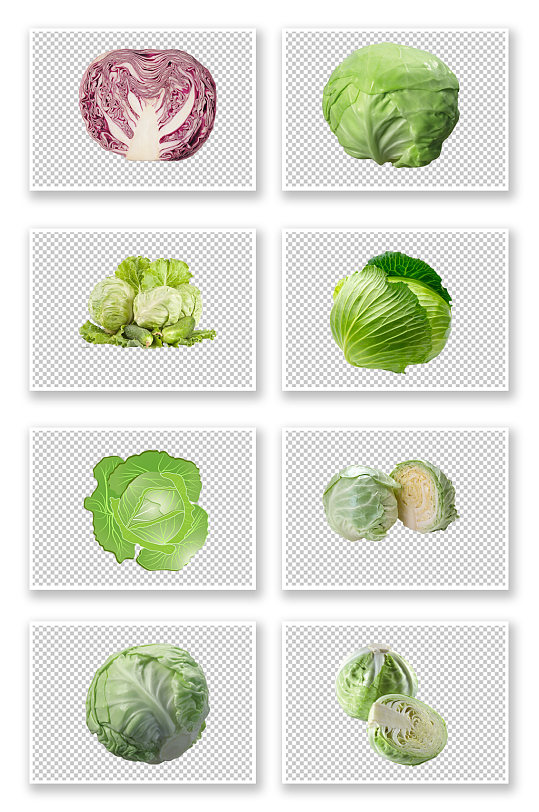 多种圆白菜蔬菜素材