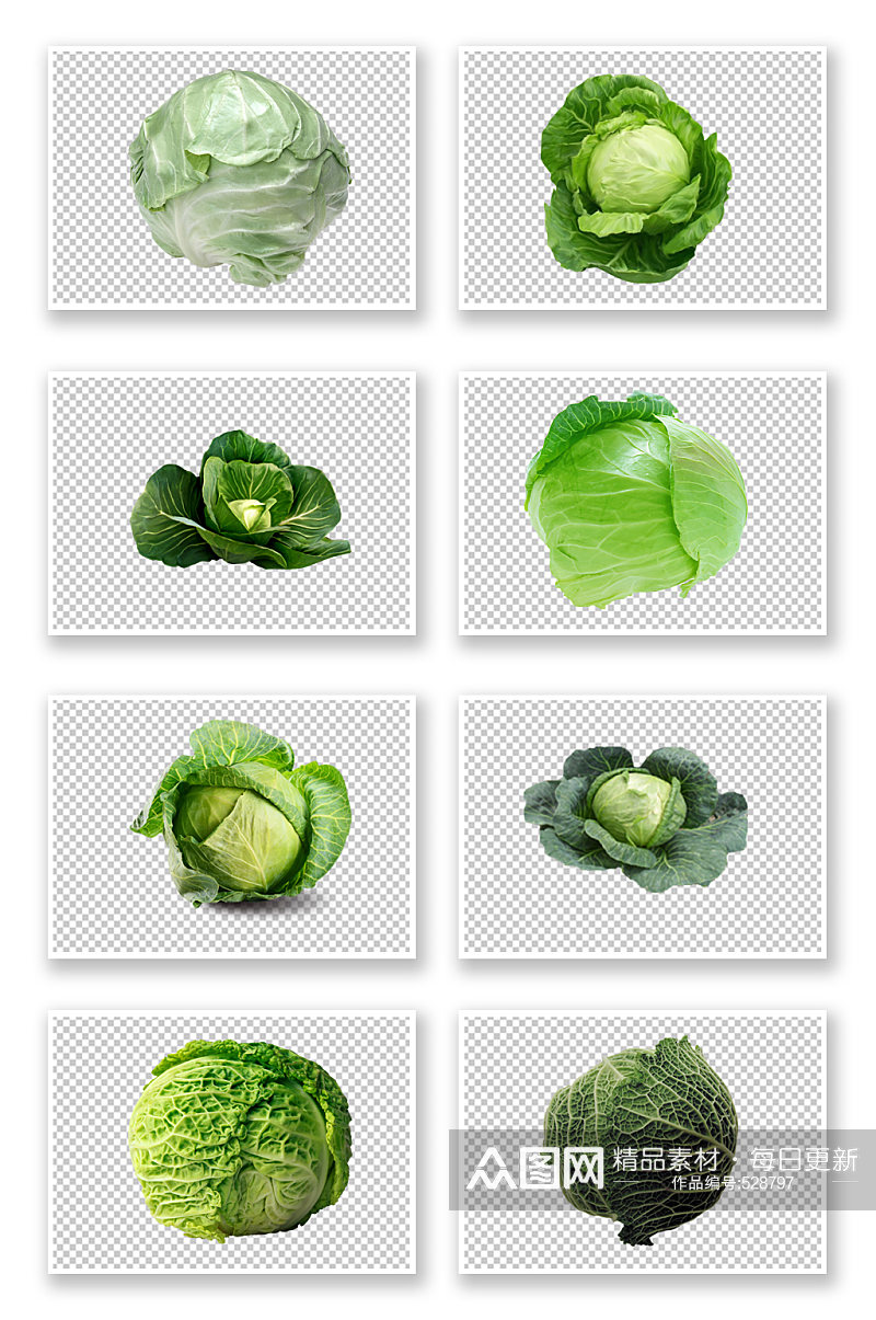 多种圆白菜蔬菜素材素材