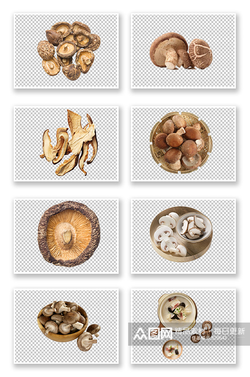 野生香菇蘑菇蔬菜素材素材