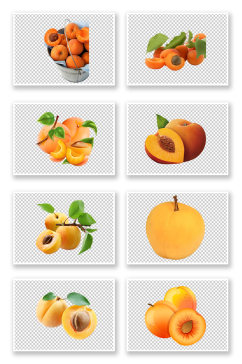 新鲜黄杏杏子水果元素