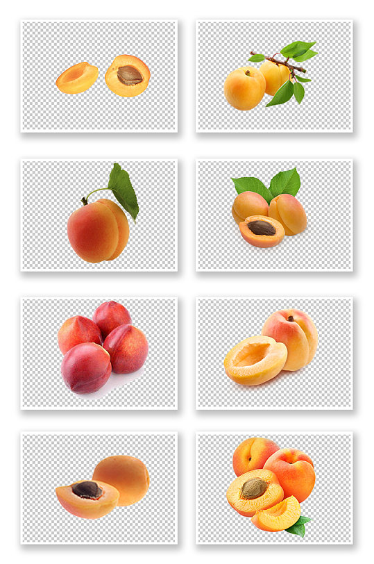新鲜黄杏杏子水果元素
