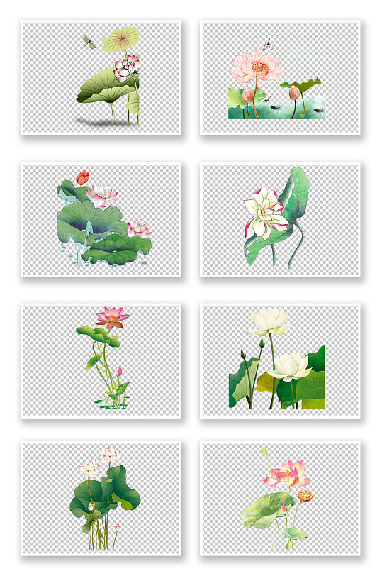 夏季荷花莲花植物免抠元素