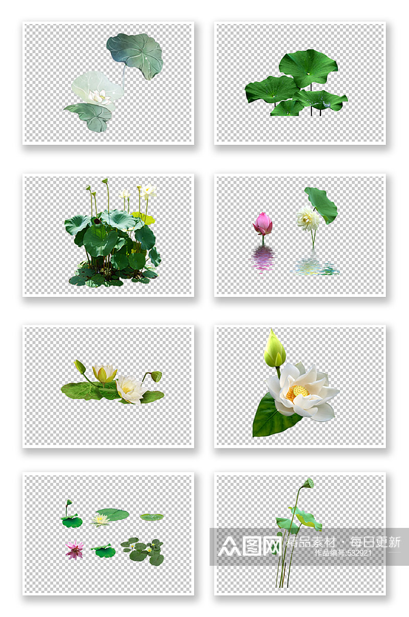 绿色荷花莲花植物元素素材