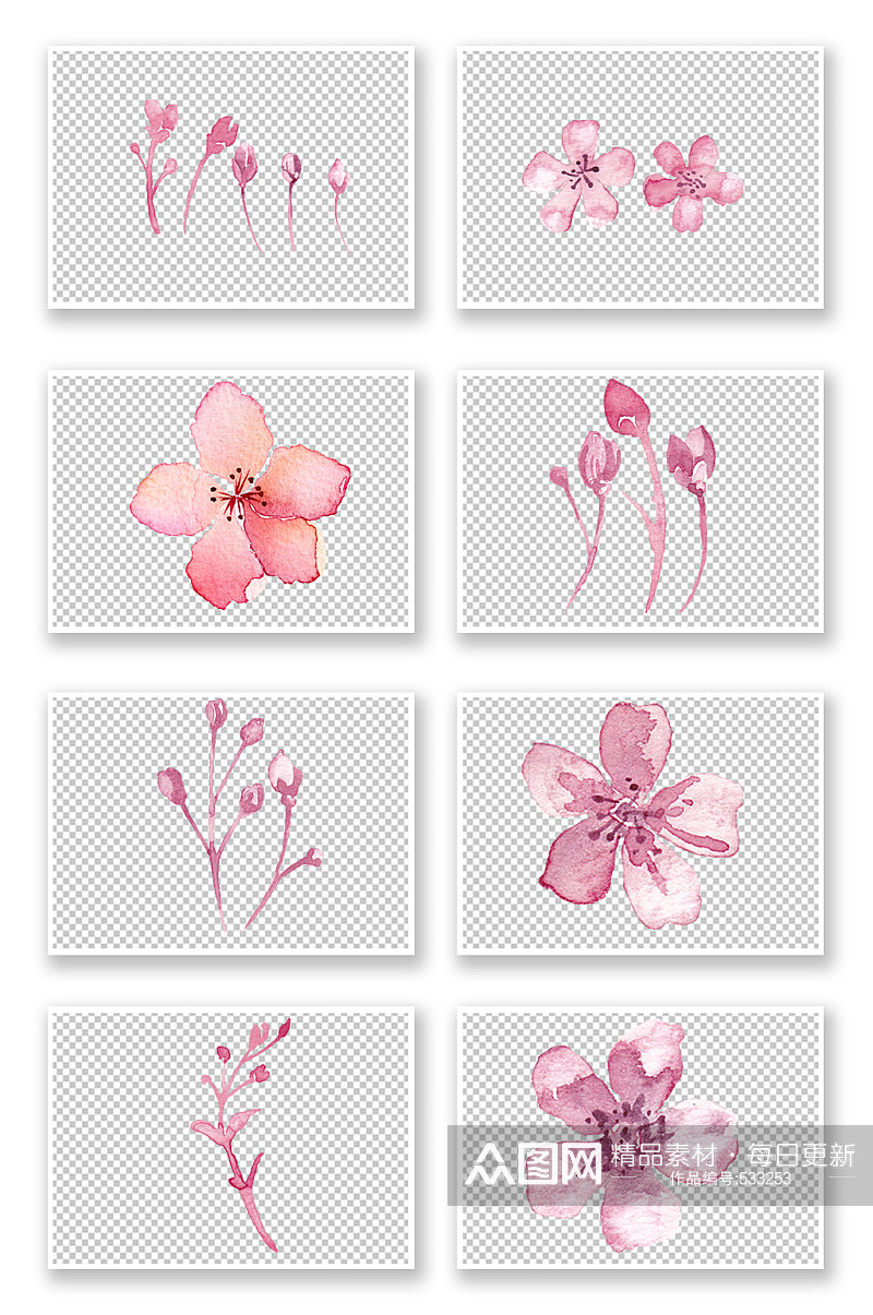 浪漫桃花樱花植物樱花节素材素材