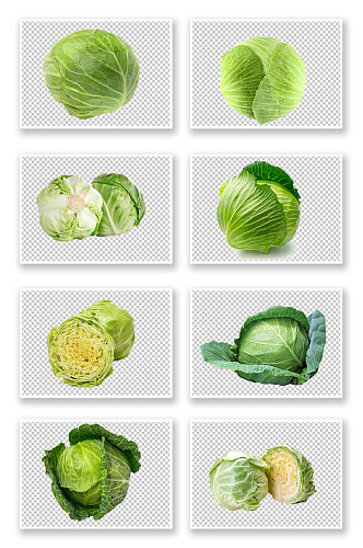 新鲜圆白菜蔬菜素材
