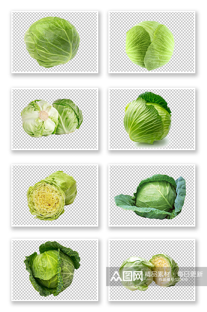 新鲜圆白菜蔬菜素材素材
