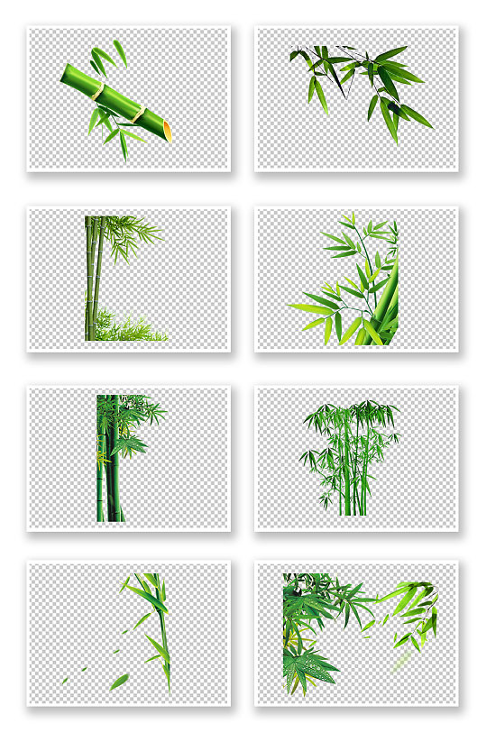 清新风绿色竹子元素