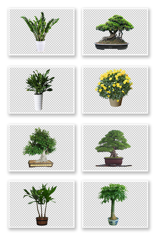 绿化花盆图片-绿化花盆素材下载-众图网