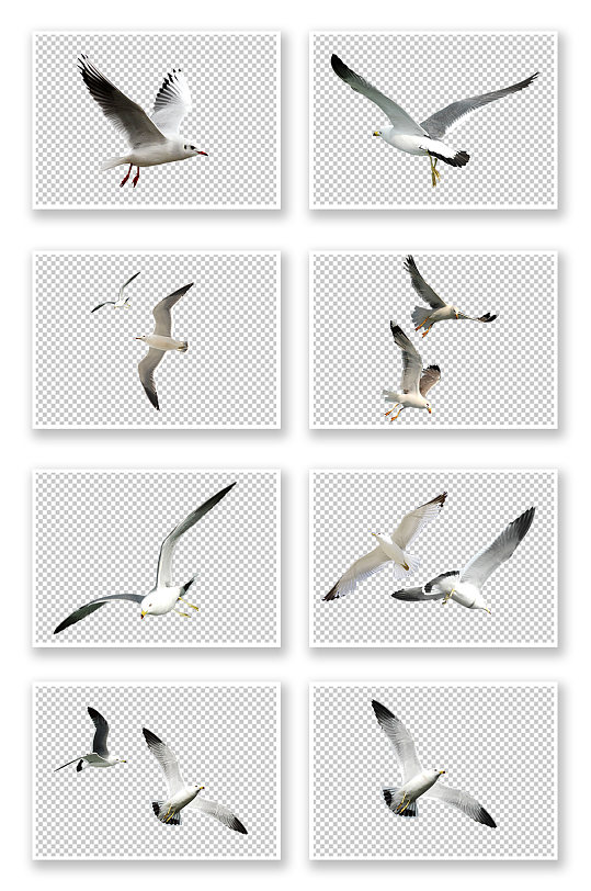 飞翔的海鸥鸽子素材 免抠元素