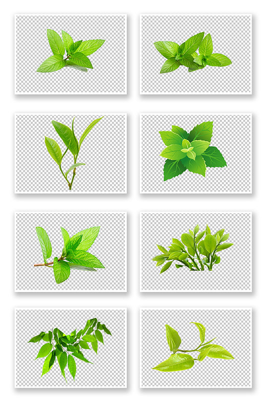 树叶绿叶植物免扣素材 免抠元素