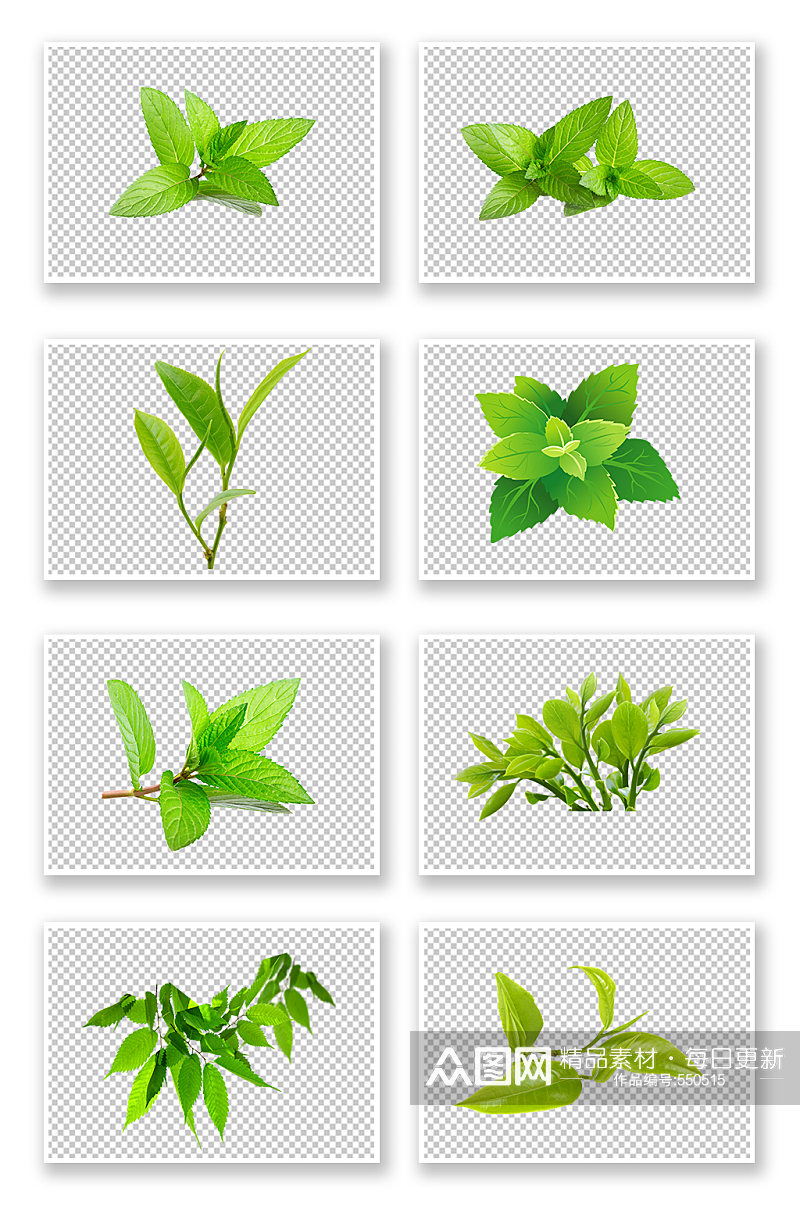 树叶绿叶植物免扣素材 免抠元素素材