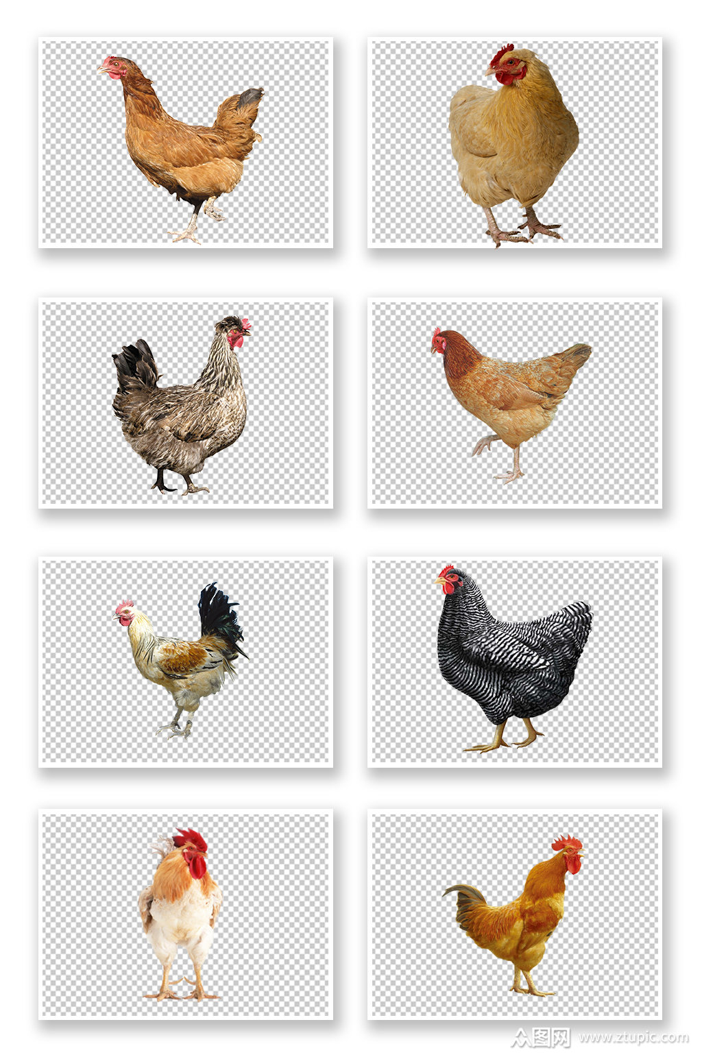 本作品是由众图用户9509上传的原创免抠元素素材,适用于设计元素设 