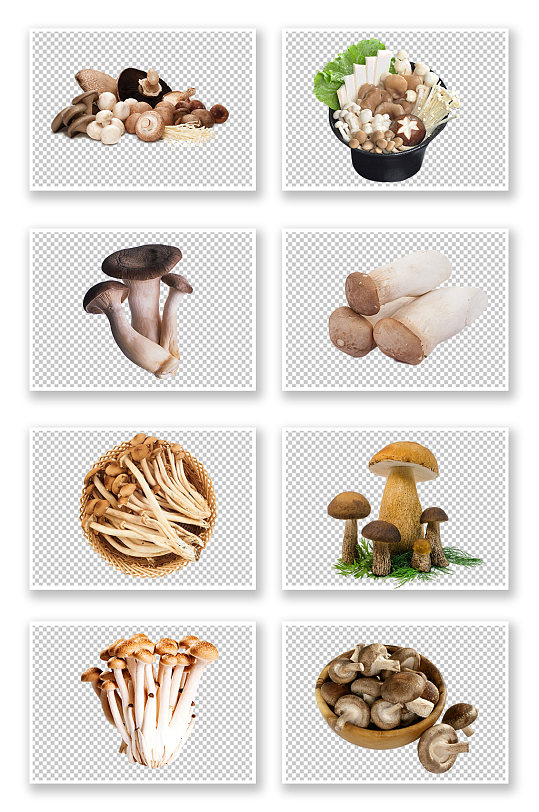 香菇蘑菇菌类免扣素材
