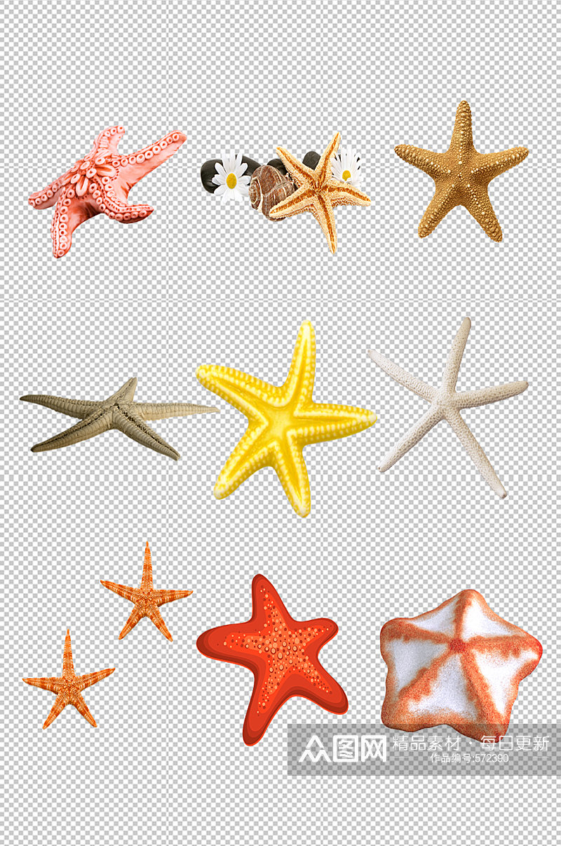 手绘海星海螺贝壳免抠素材素材