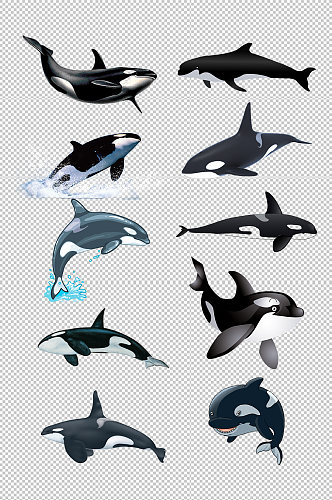 海洋生物鲸鱼免抠元素