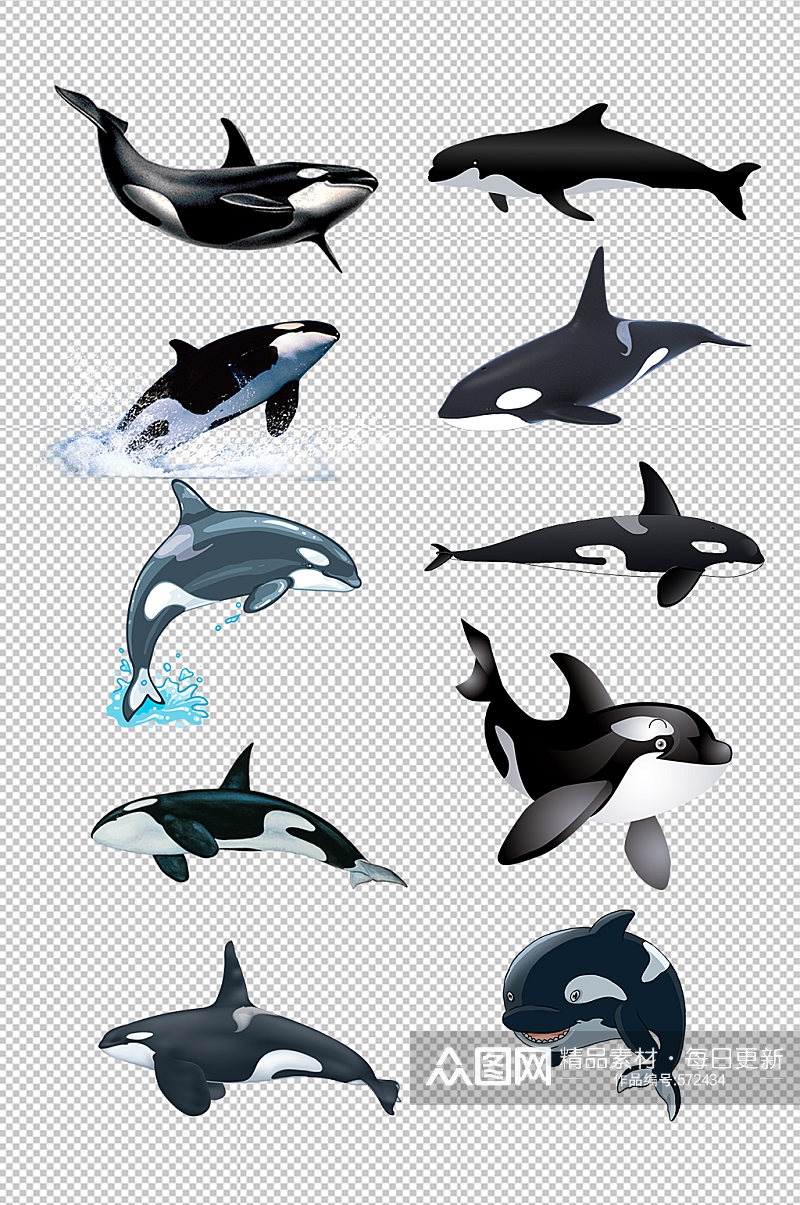 海洋生物鲸鱼免抠元素素材