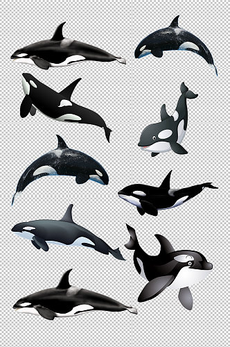 海洋生物鲸鱼免抠元素