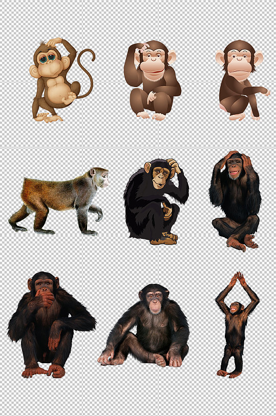 猩猩猴子动物素材