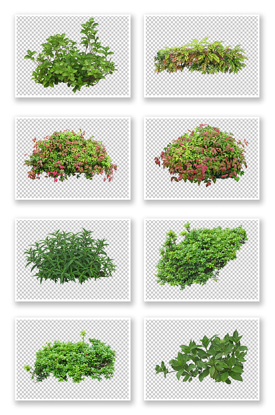 园林绿化大树图片-园林绿化大树素材下载-众图网