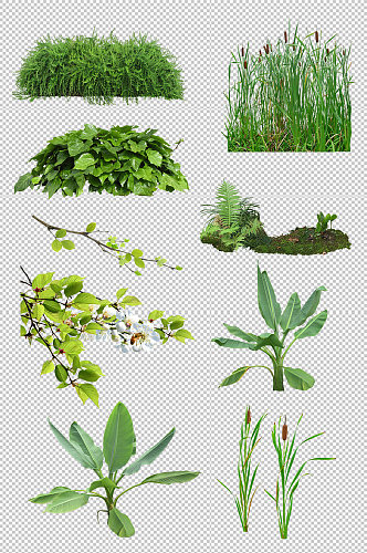 园林景观绿植植物素材
