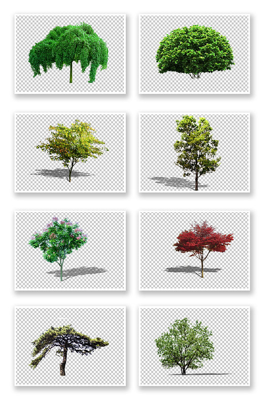 园林绿化树素材绿树