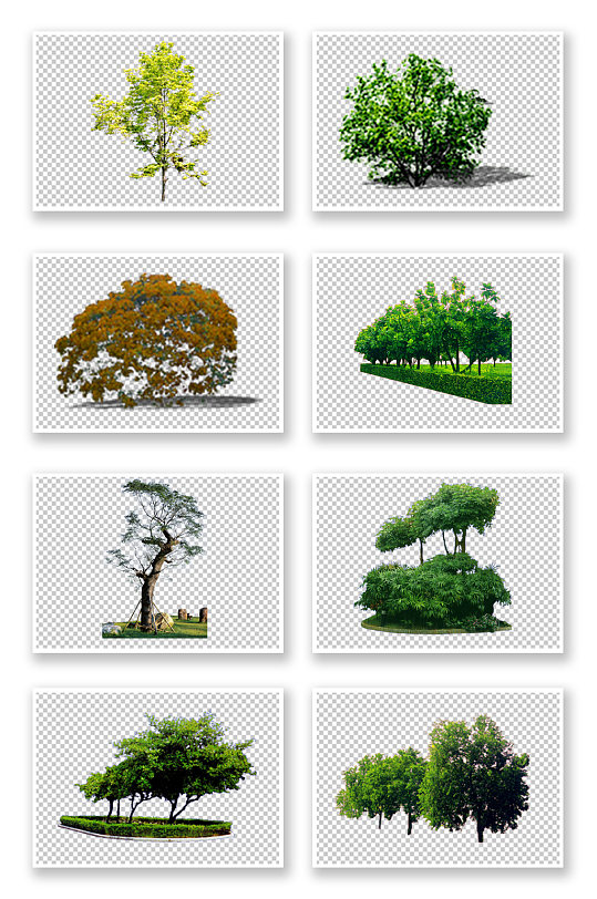园林绿化树素材绿树