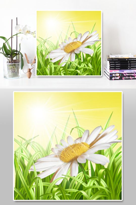 植物花草图片 植物花草素材下载 第26页