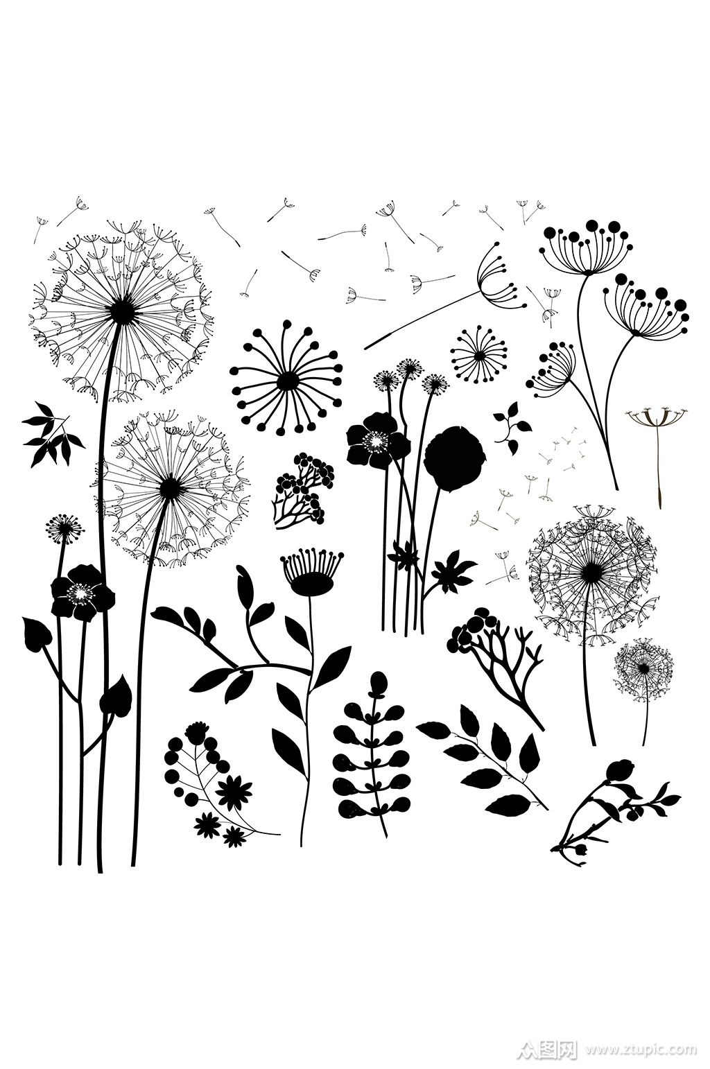 飞舞的蒲公英免抠素材素材