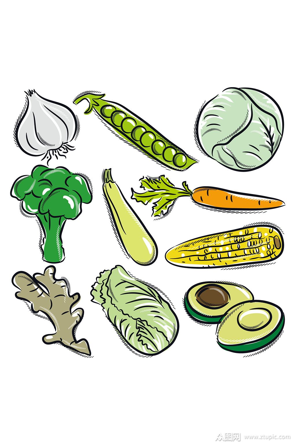 卡通手绘蔬菜青菜食材素材