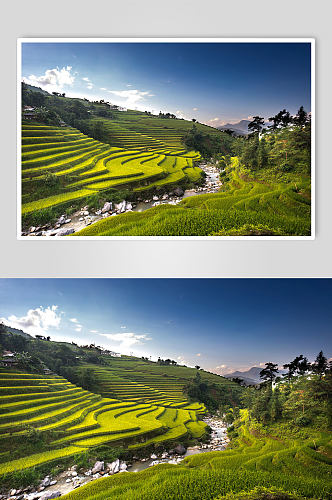 农村田野风景图片