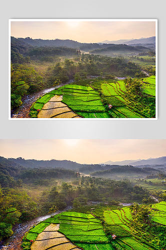 农村田野风景图片