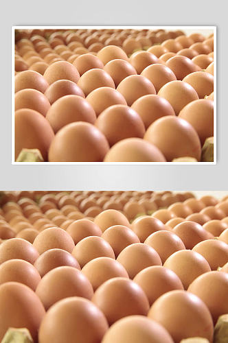 鸡蛋特写实拍摄影图