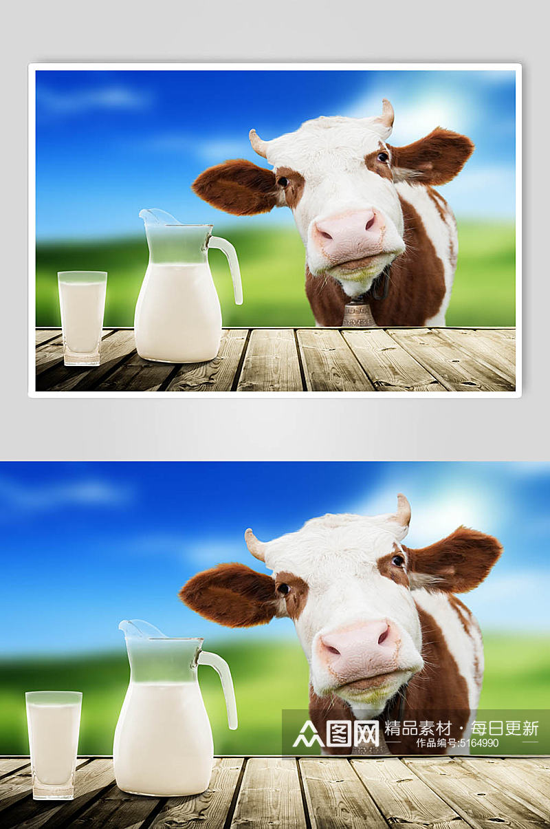 新鲜牛奶摄影图片素材