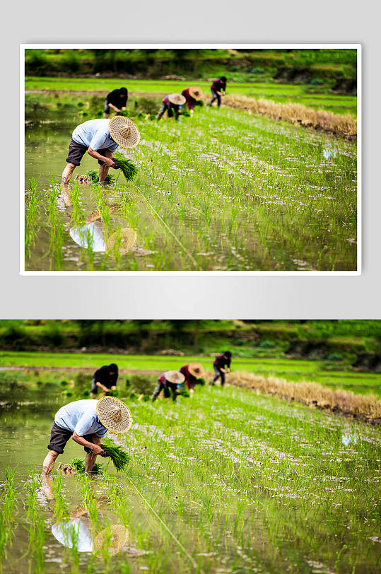 农耕创意摄影图片