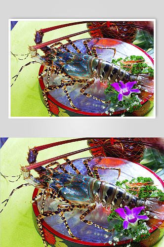 澳洲大龙虾菜肴美食图片