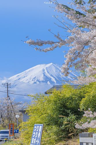 风景富士山实拍摄影图片