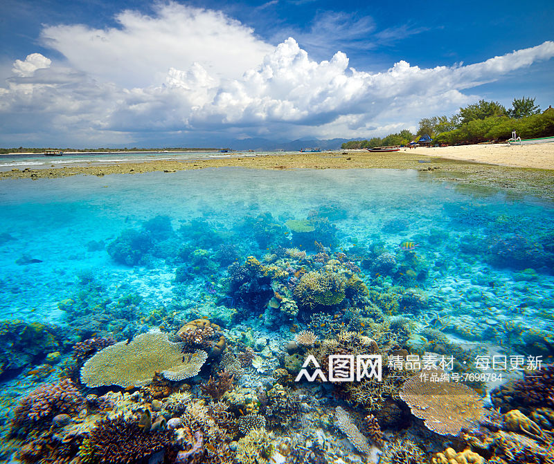 海底鱼群摄影图片素材