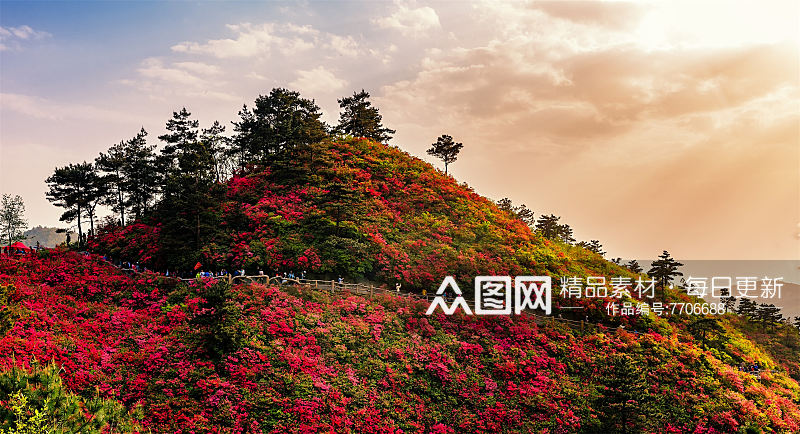 大气湖北武汉风景摄影图素材