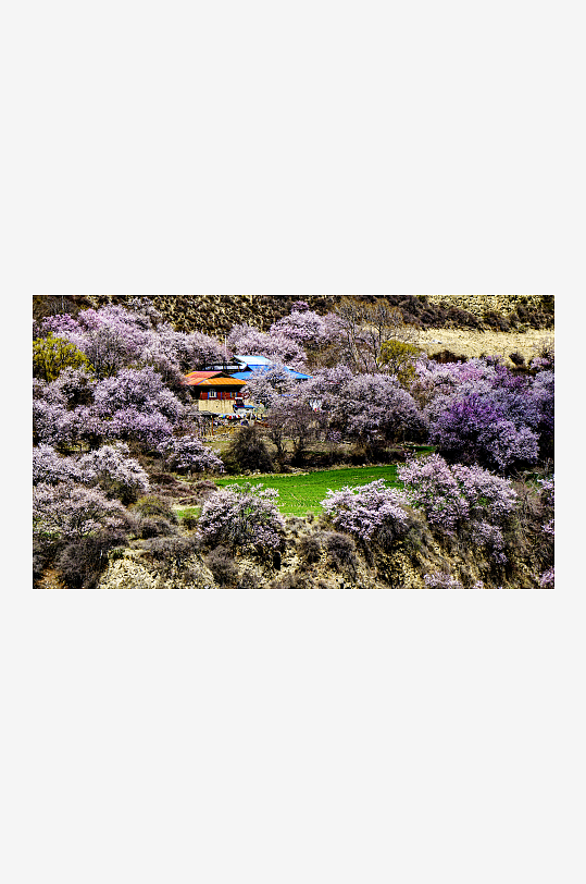 西藏城市风景摄影图