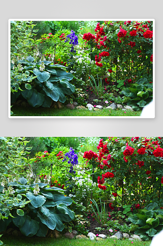 美丽花园庭院风景摄影图
