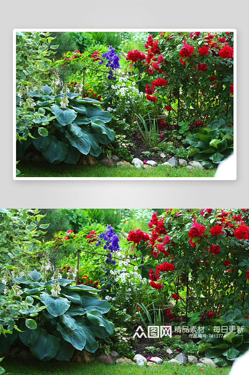 美丽花园庭院风景摄影图素材
