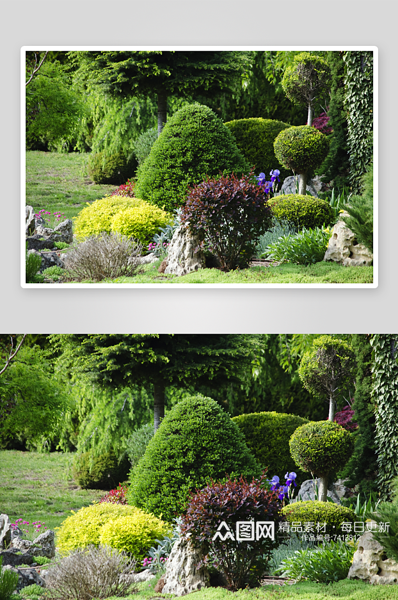 美丽花园庭院风景摄影图素材
