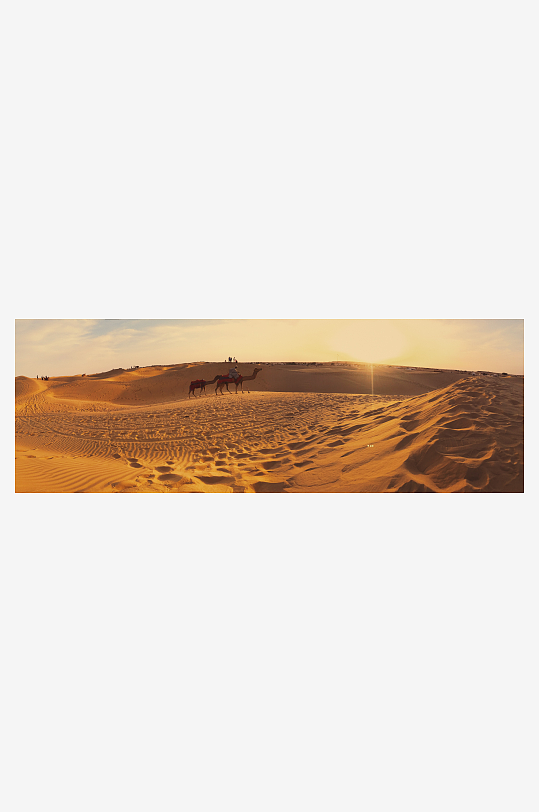 美丽沙漠骆驼摄影图片