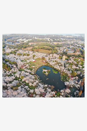 湖北武汉风景摄影图