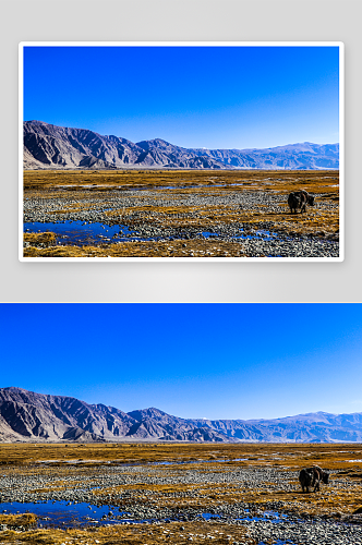 新疆喀什风景摄影图